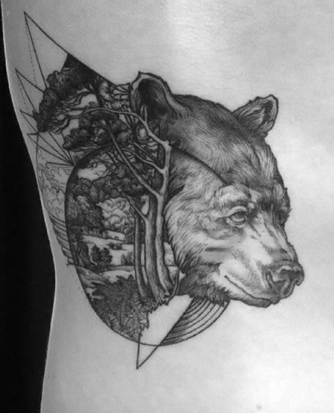 Bear