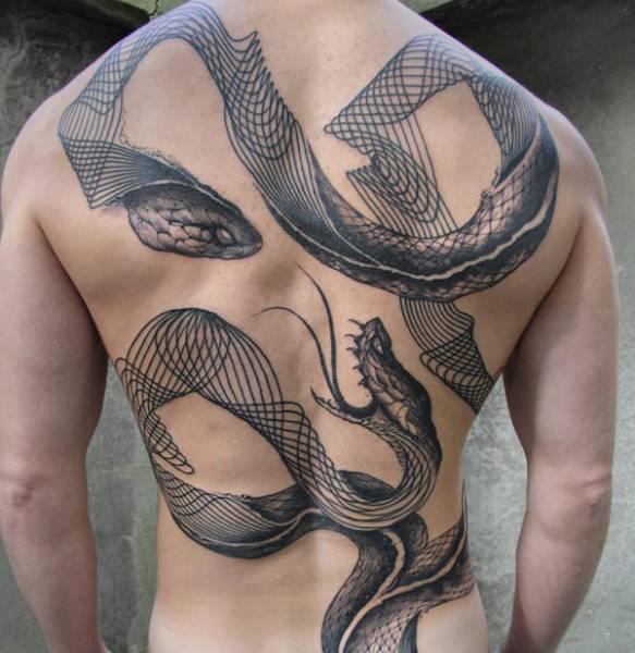 Geometric snakes