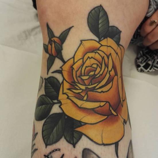 Yellow rose