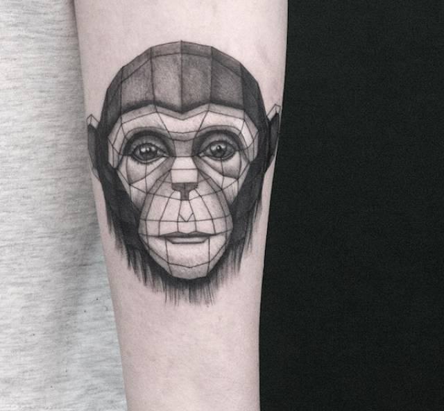 Monkey