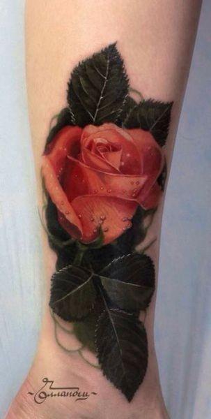 tattoo, Rose A realistic rose on the lower arm