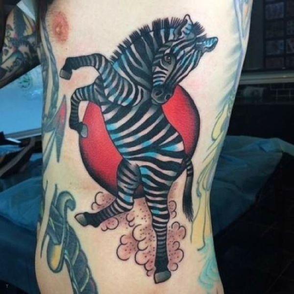 Zebra